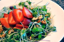 Strawberry MicroGreen Salad