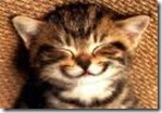 smiling kitty