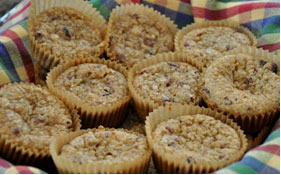 Cranberry Quinoa Mini Muffins
